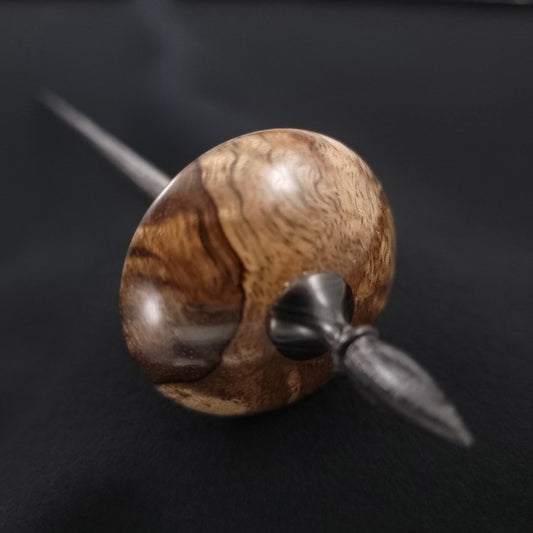 Stabilized Curly Black Mango Shop Rat Bead