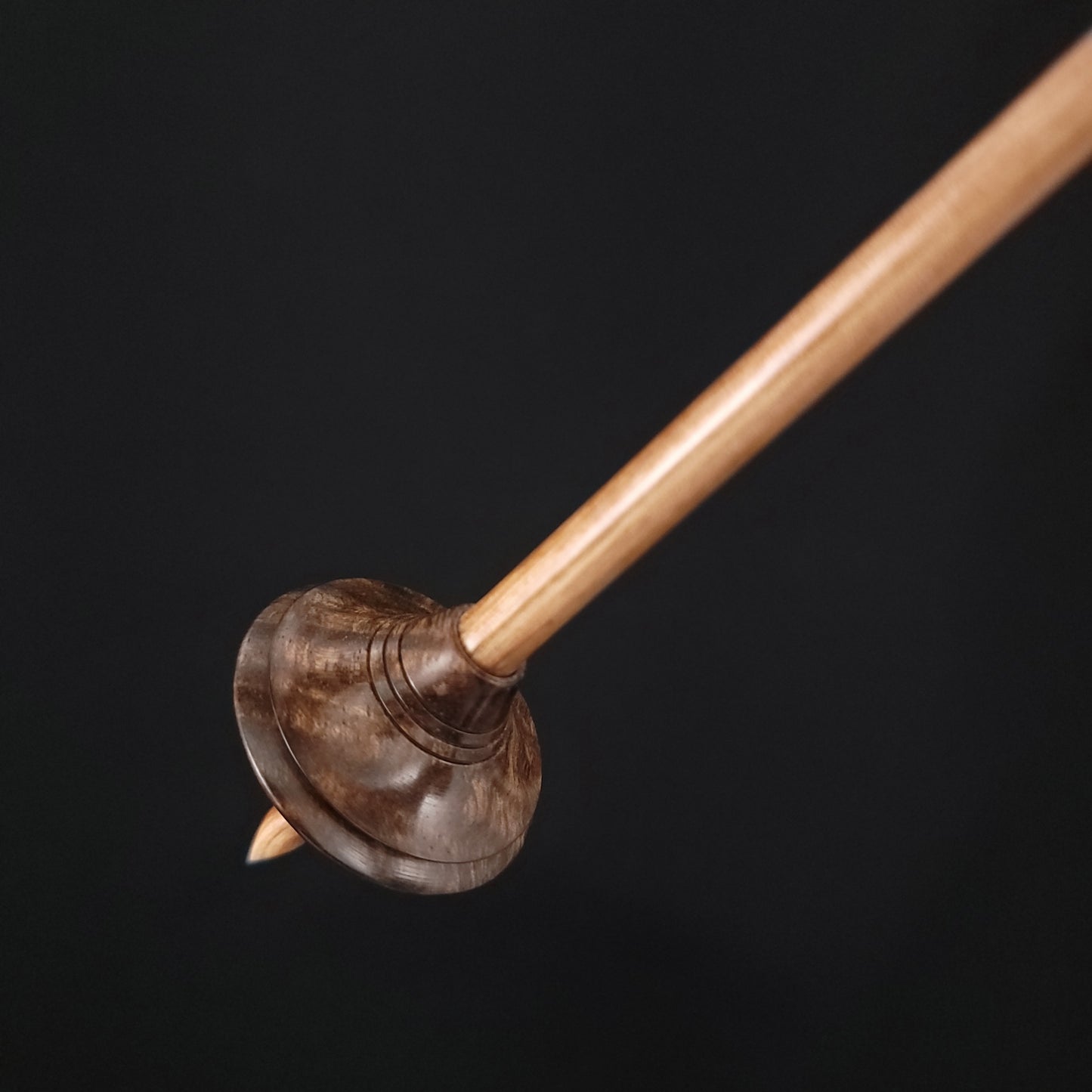 Stabilized Curly Black Mango Shop Rat Bead