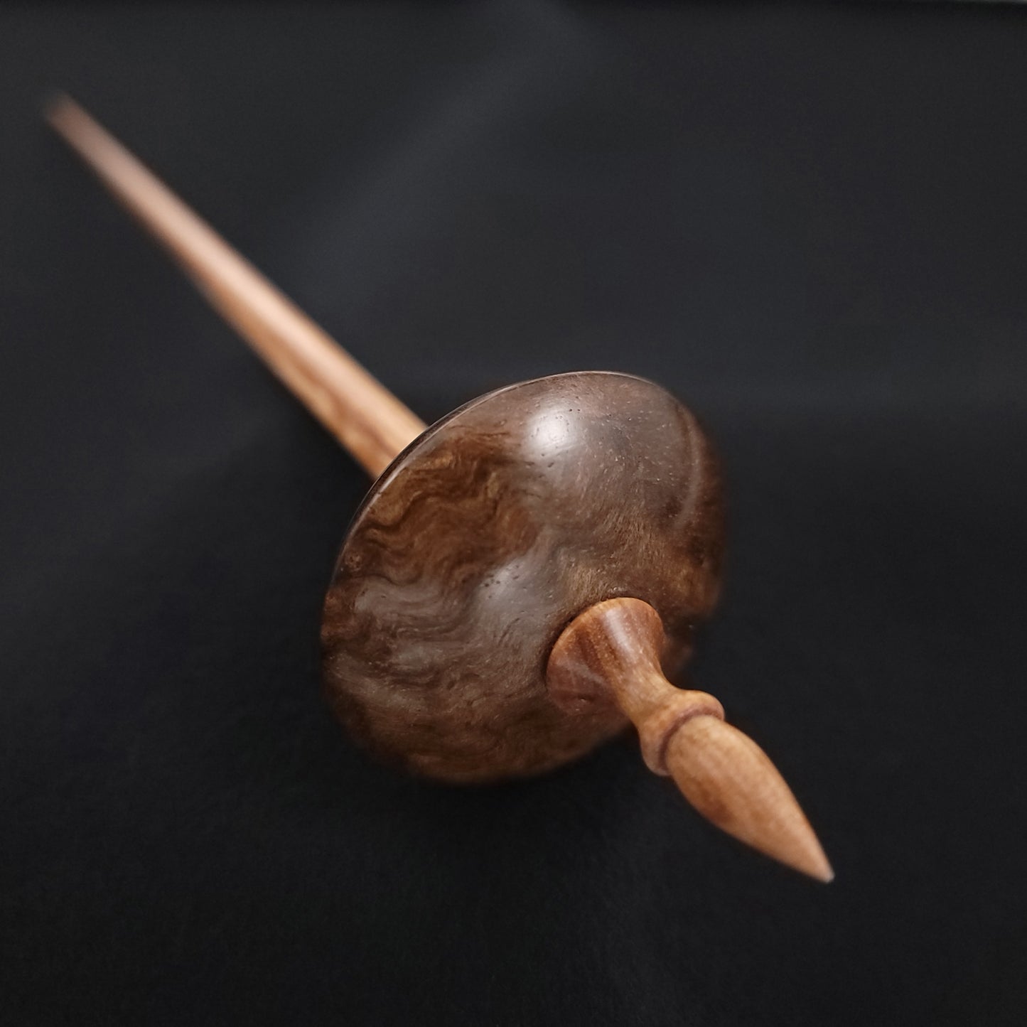 Stabilized Curly Black Mango Shop Rat Bead