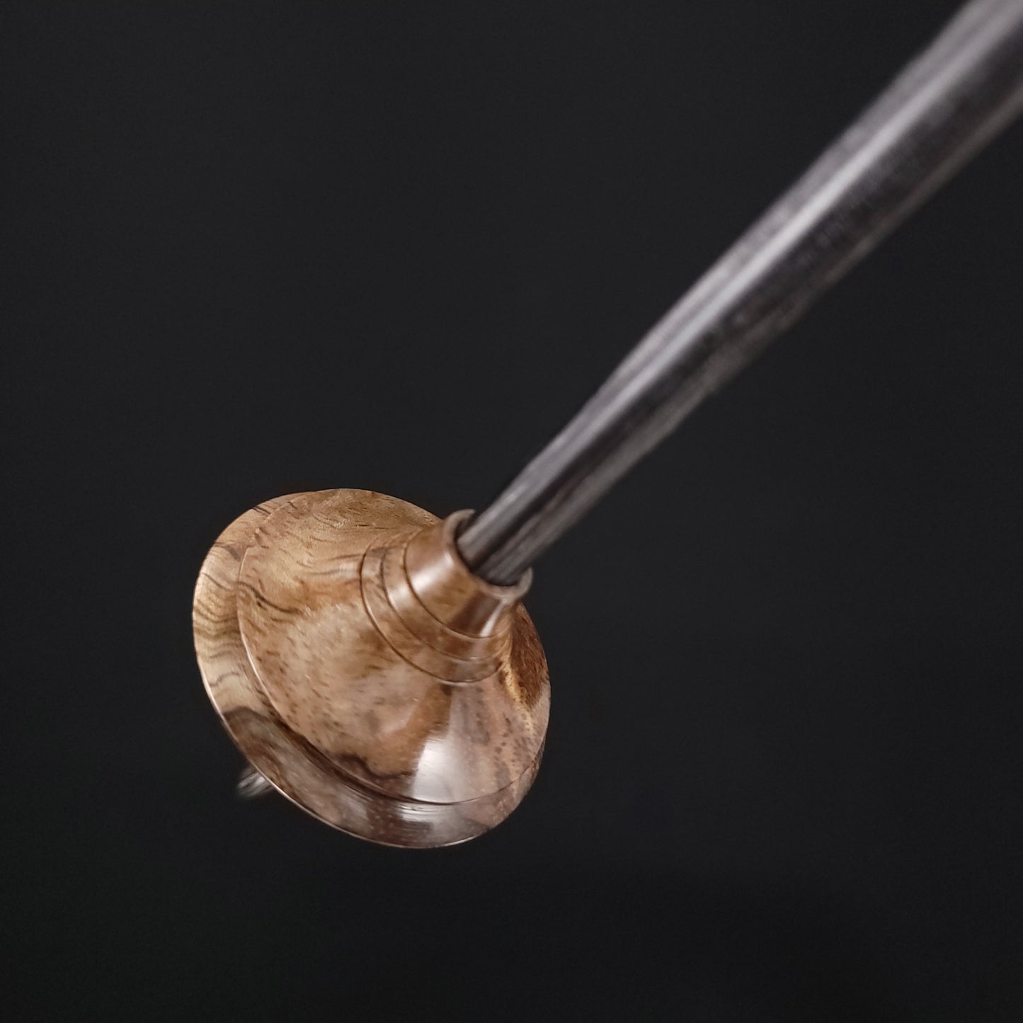 Stabilized Curly Black Mango Shop Rat Bead