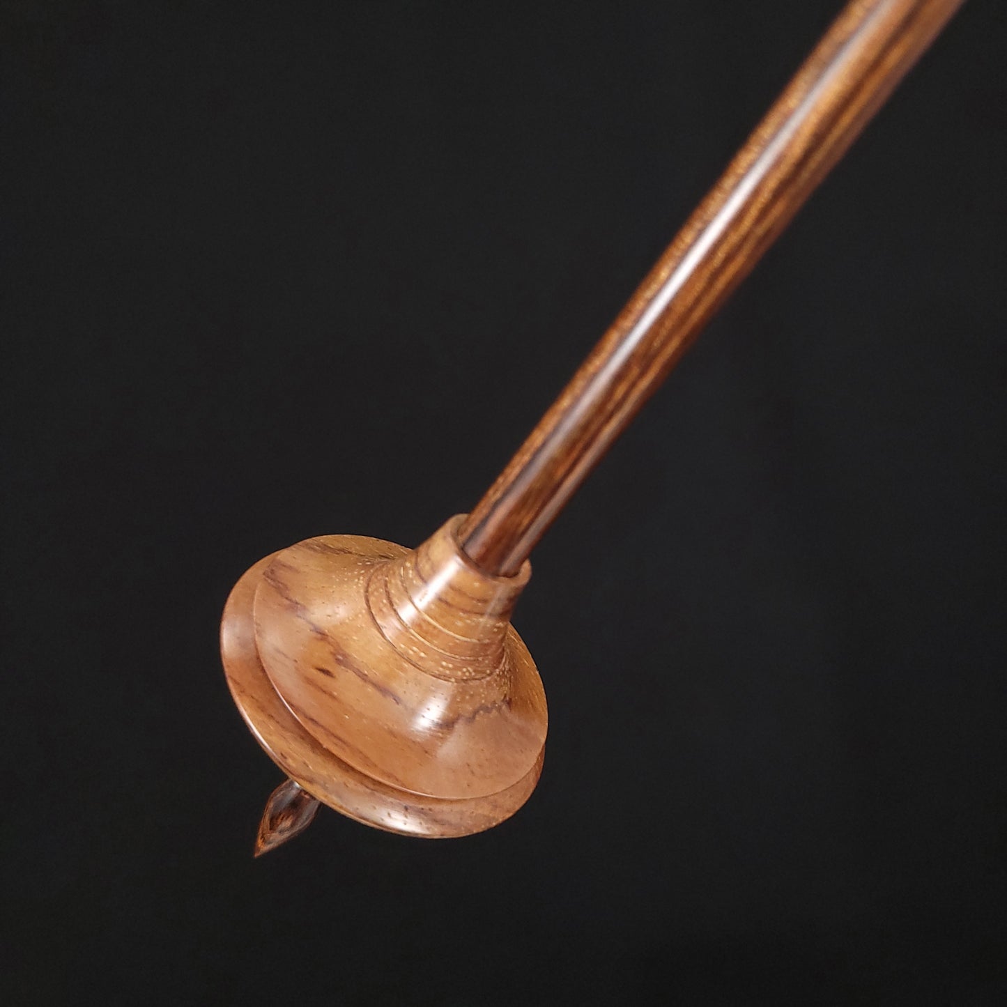 Stabilized Shedua Shop Rat Bead