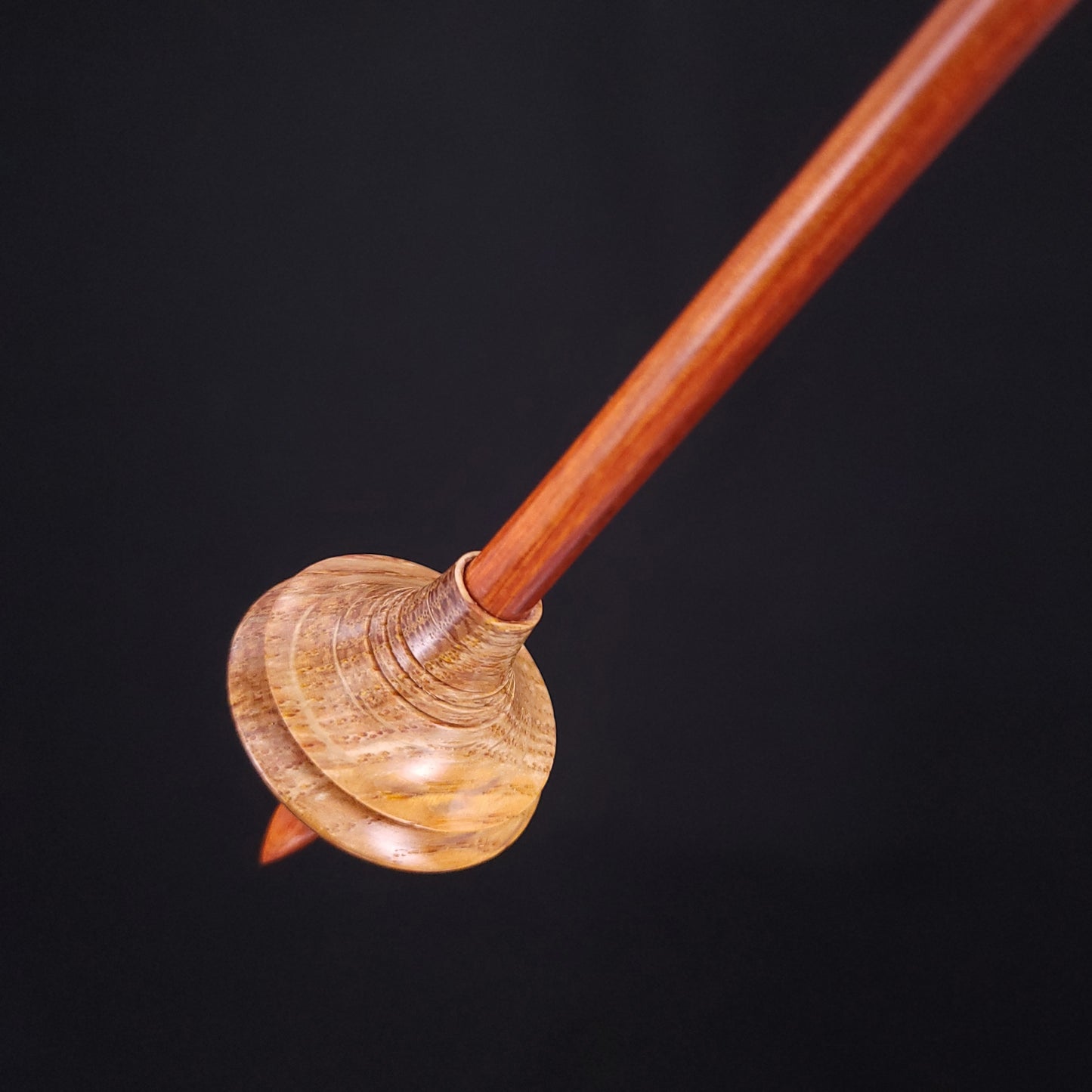 Dyed & Stabilized Curly Oak Shop Rat Bead