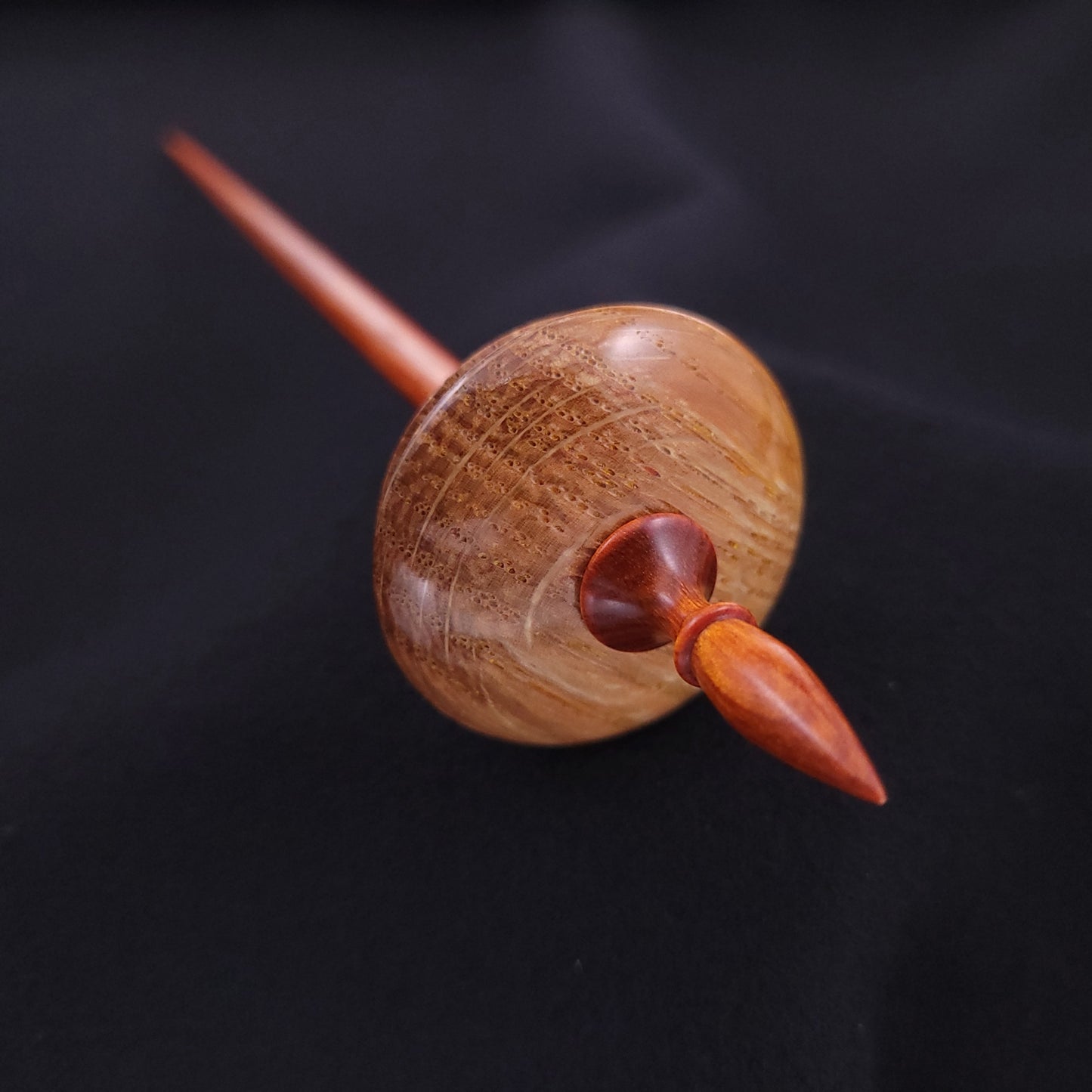 Dyed & Stabilized Curly Oak Shop Rat Bead