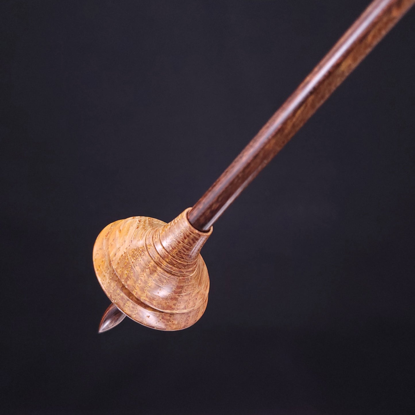 Dyed & Stabilized Curly Oak Shop Rat Bead