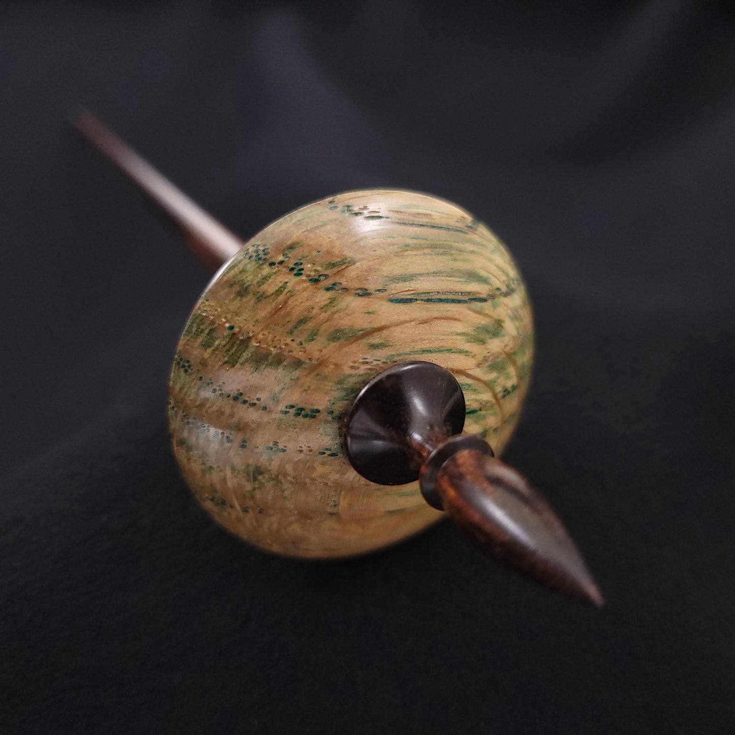 Dyed & Stabilized Curly Oak Shop Rat Bead