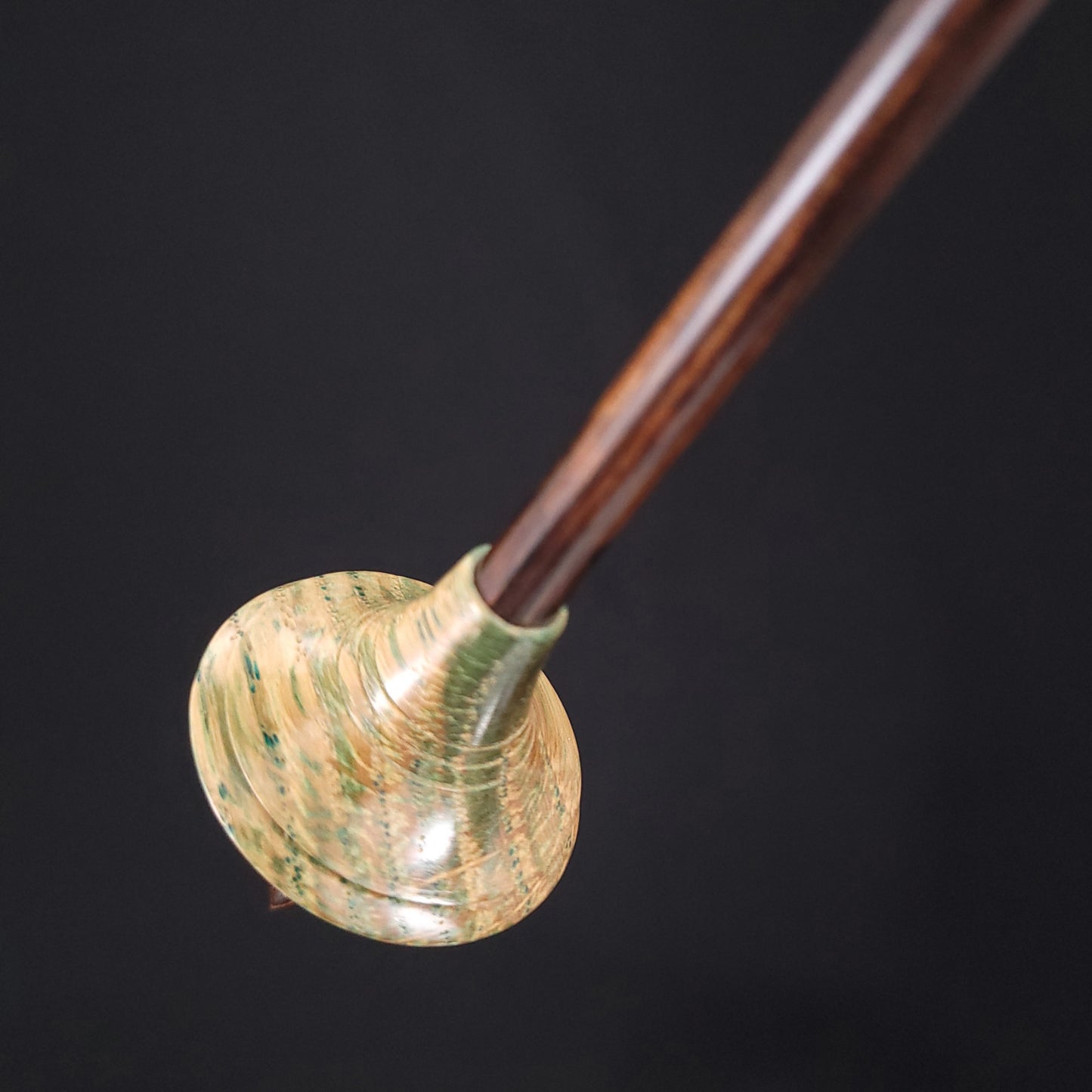 Dyed & Stabilized Curly Oak Shop Rat Bead